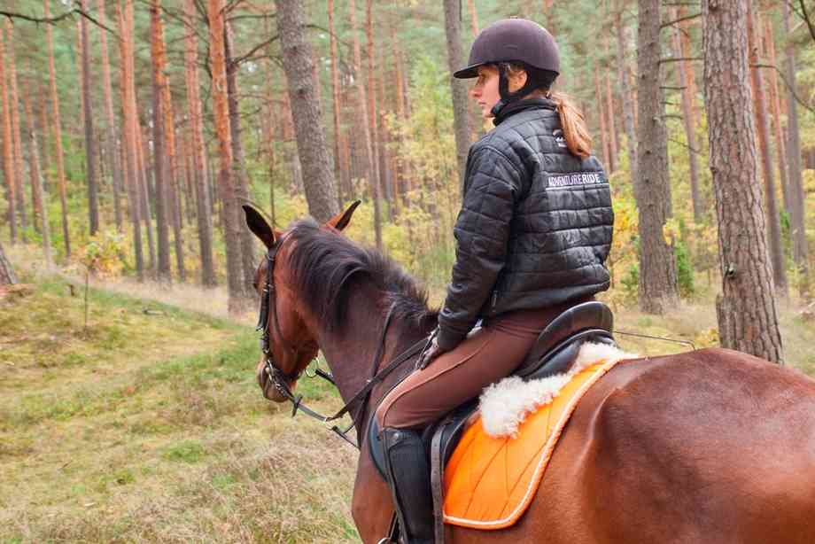 КСК Колибри / Конно-спортивный клуб